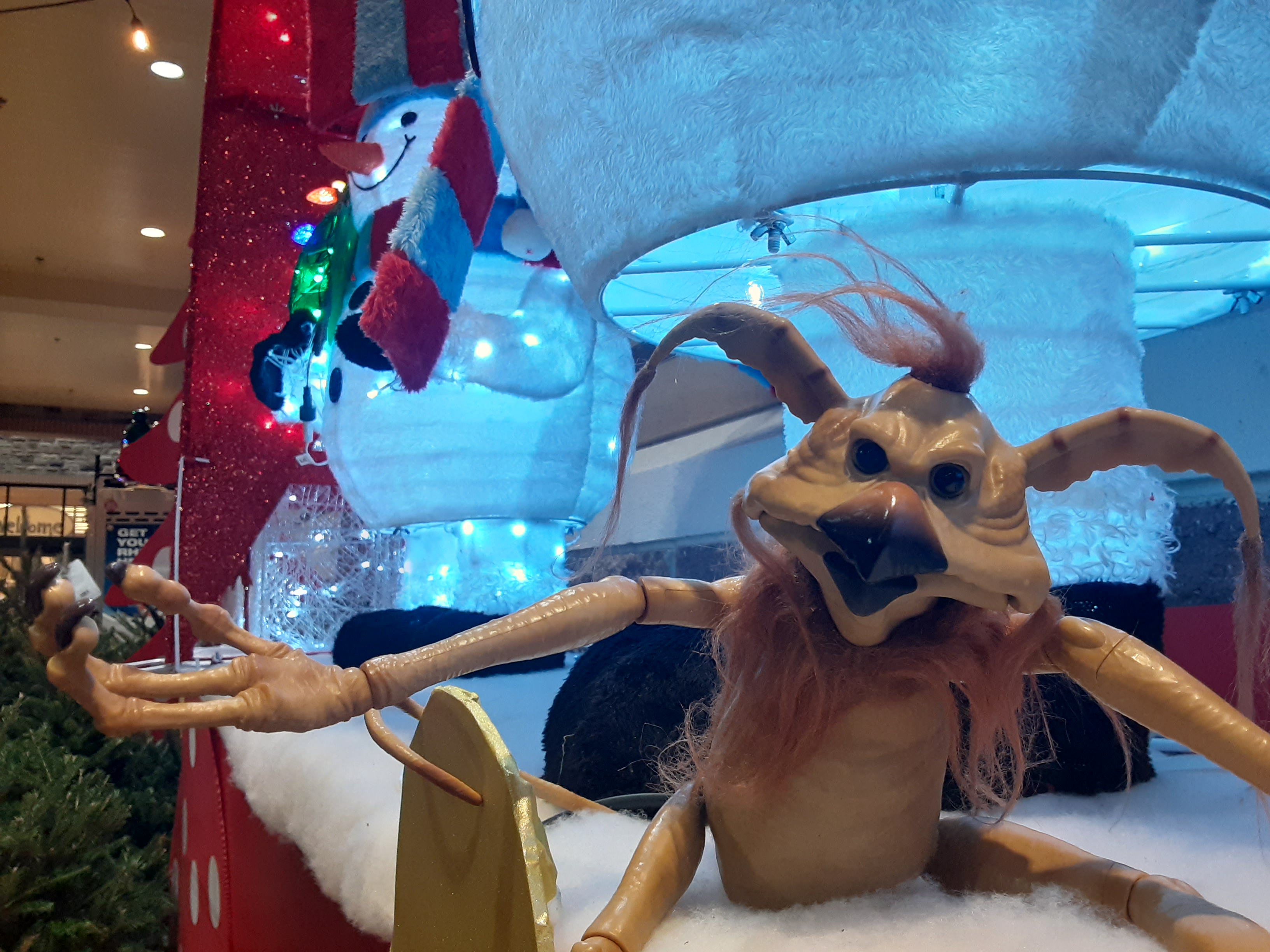 The Crumb in front of holiday decorations at grocery store.