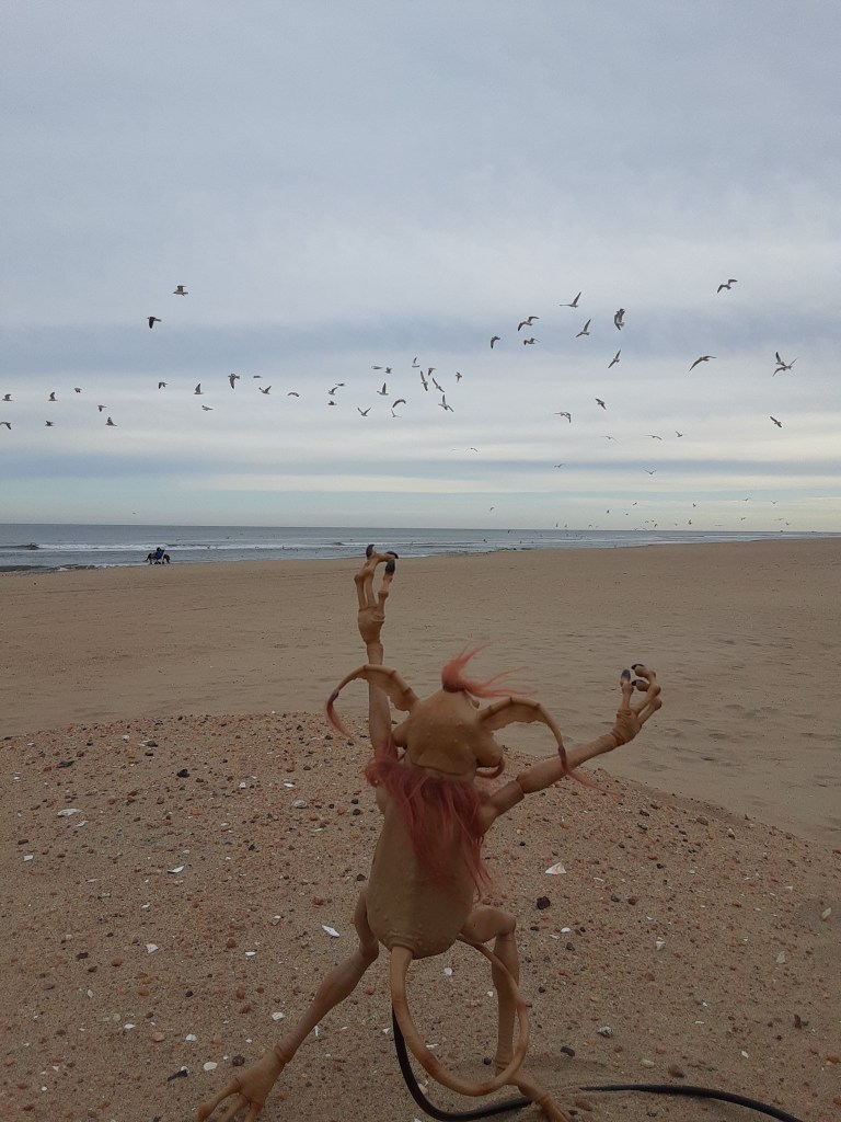 Fly, my pretty porgs, fly!  